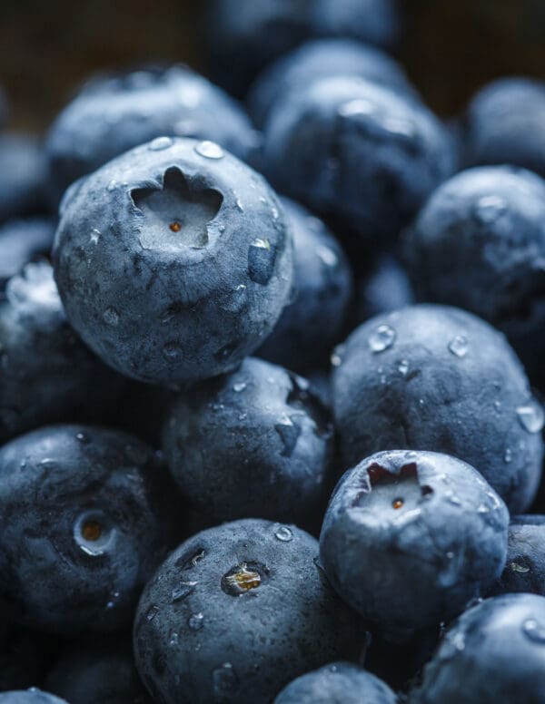 A close up of some blueberries with water drops on them