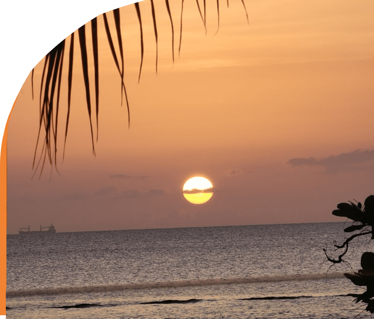 A sunset over the ocean with palm trees in the foreground.