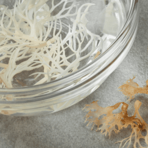 A glass bowl with some white seaweed in it