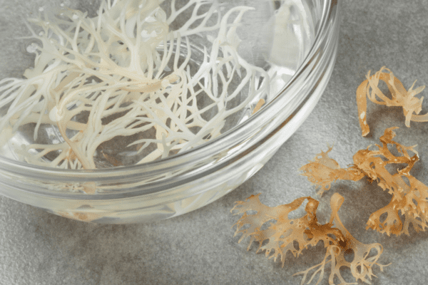 A glass bowl with some white seaweed in it